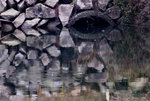 _DSC0030_adjusted