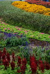 _DSC0038_adjusted