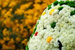 _DSC0042_adjusted