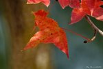_DSC0064_adjusted