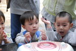 _DSC0446