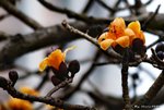 _DSC0017_adjusted