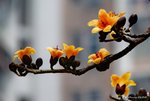 _DSC0021_adjusted