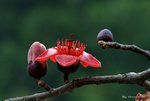 _DSC0057_adjusted