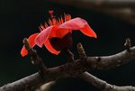 _DSC0061_adjusted