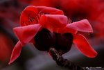 _DSC0069_adjusted