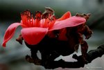 _DSC0089_adjusted