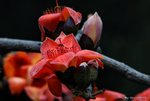 _DSC0160_adjusted