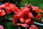 _DSC0161_adjusted
