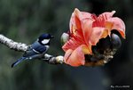 _DSC0173_J_adjusted
