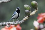 _DSC0178_J_adjusted