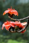 _DSC0188_adjusted