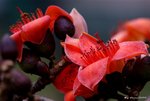 _DSC0191_adjusted