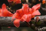_DSC0204_adjusted