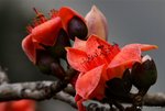 _DSC0206_adjusted
