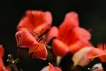 _DSC0213_adjusted