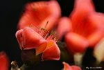 _DSC0223_adjusted