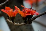 _DSC0108_adjusted