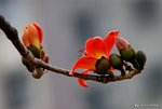 _DSC0119_adjusted