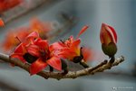 _DSC0152_adjusted
