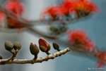 _DSC0155_adjusted
