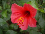 IMGP6099