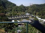 IMGP6155