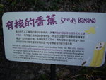 IMGP6156