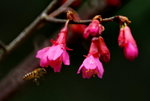 _DSC0054_adjusted