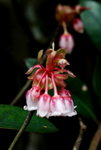_DSC0107_adjusted