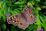 _DSC0215_adjusted