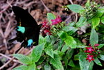 _DSC0225_J_adjusted
