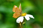 _DSC0290_adjusted