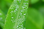 _DSC0293_J_adjusted