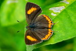 _DSC0369_adjusted