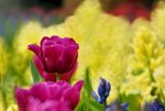 _DSC0438_adjusted