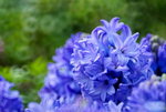 _DSC0444_adjusted