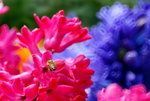 _DSC0445_adjusted