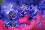 _DSC0451_adjusted
