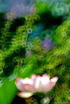 _DSC0114_adjusted