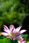 _DSC0121_adjusted