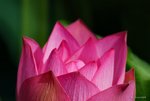 _DSC0169_adjusted