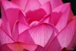 _DSC0177_adjusted