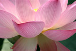 _DSC0015_adjusted