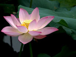 _DSC0023_adjusted