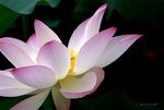 _DSC0034_adjusted