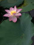 _DSC0057_adjusted