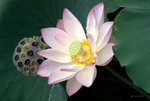_DSC0058_adjusted