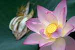 _DSC0071_adjusted
