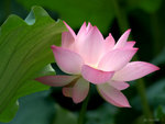 _DSC0072_adjusted